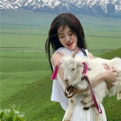 法官与杀人犯